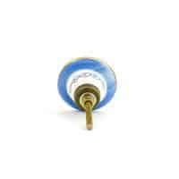 DSC 1877 Blue lotus knob